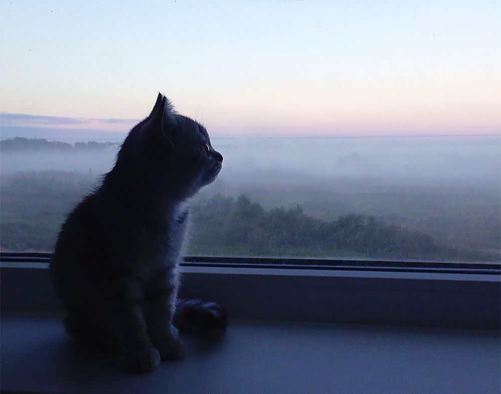 Photograph by Наталия Жмерик