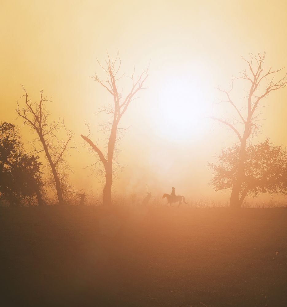 Photograph by Буданова Мария