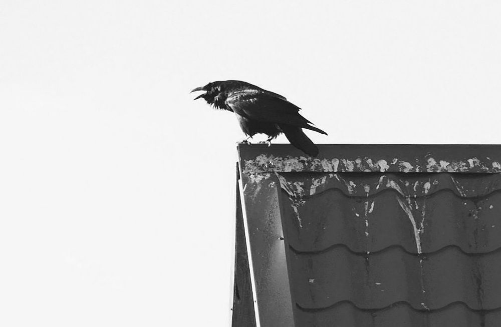 Photograph by Наталья Шалкевич