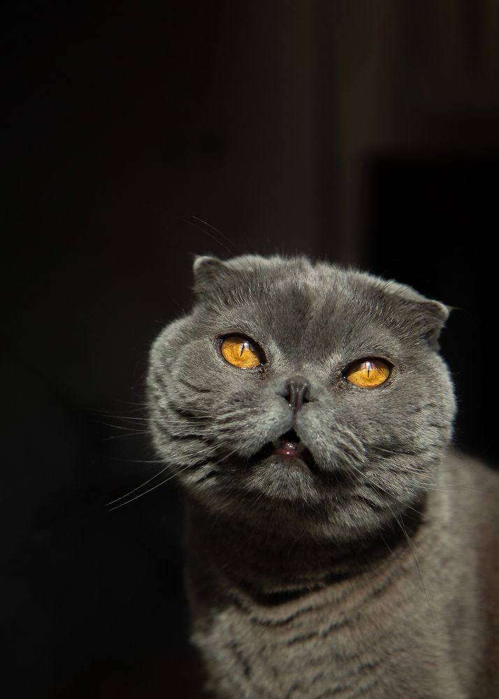 Photograph by Екатерина Боенко