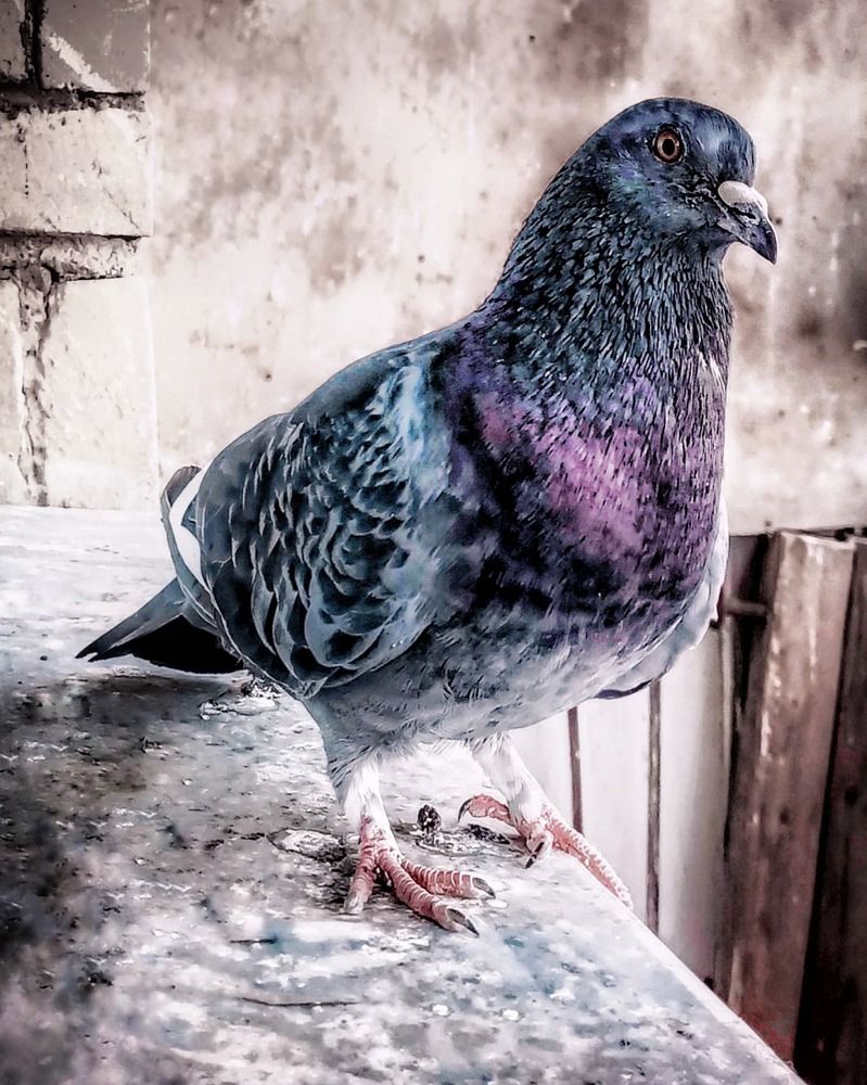 Фотография автора Марина