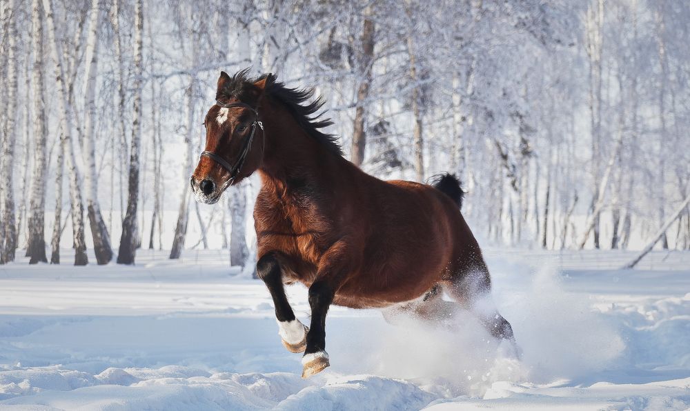 Photograph by Кристина Горковская