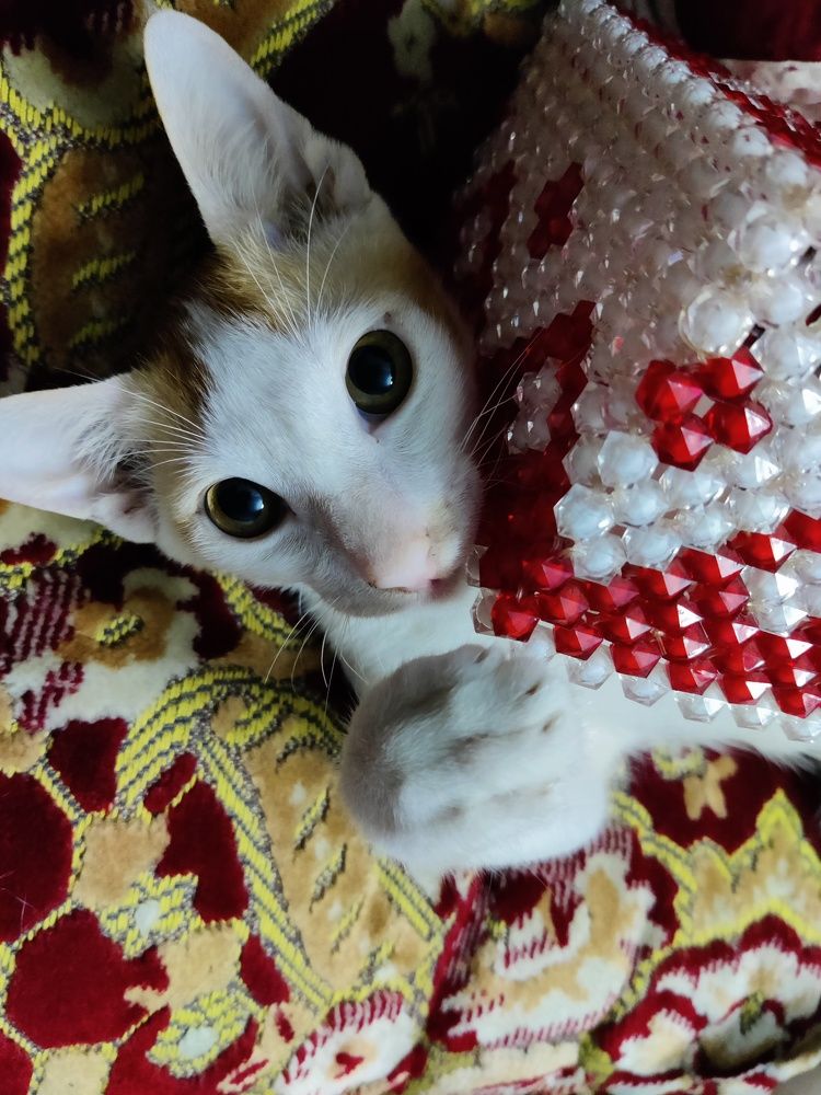 Photograph by Tasnim Rima