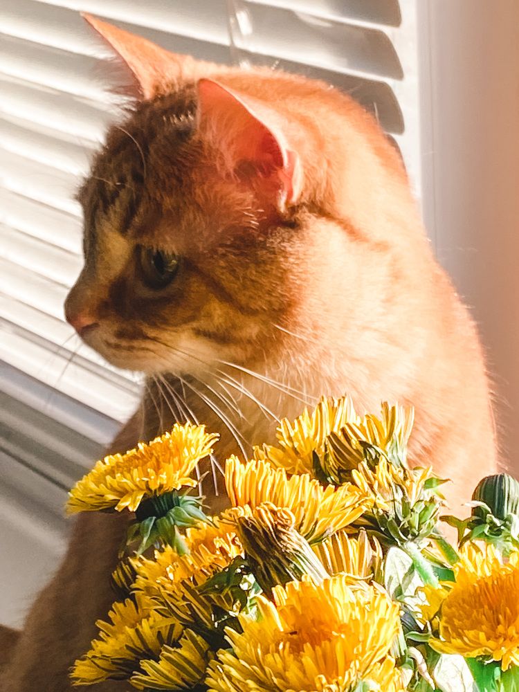 Photograph by Маргарита