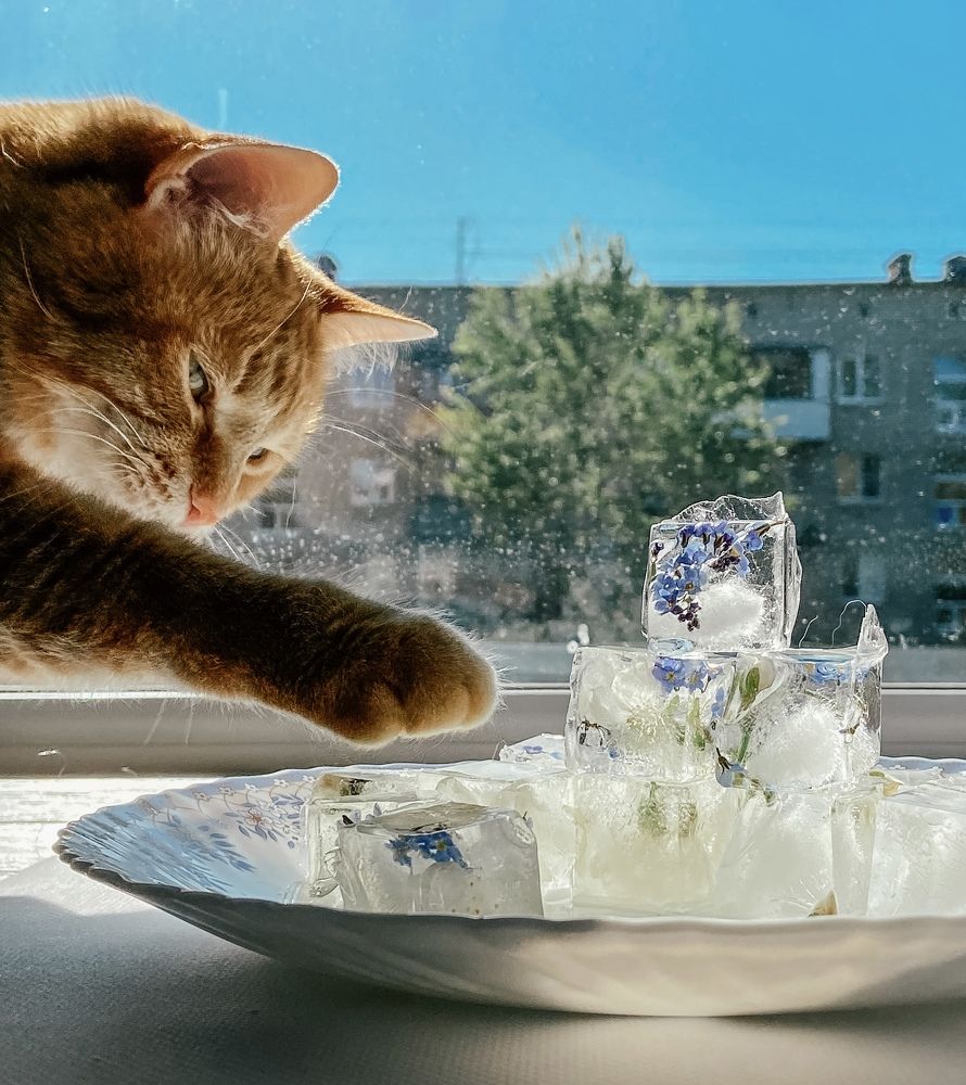 Photograph by Маргарита