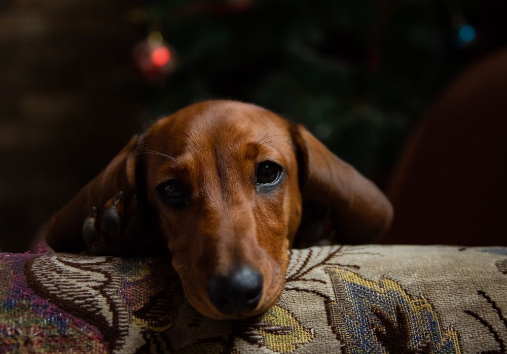 Photograph by Нефедова Ангелина