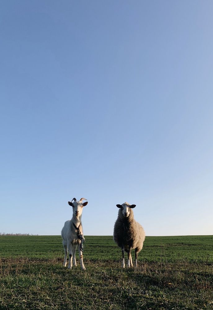 Photograph by Павел Тищенко