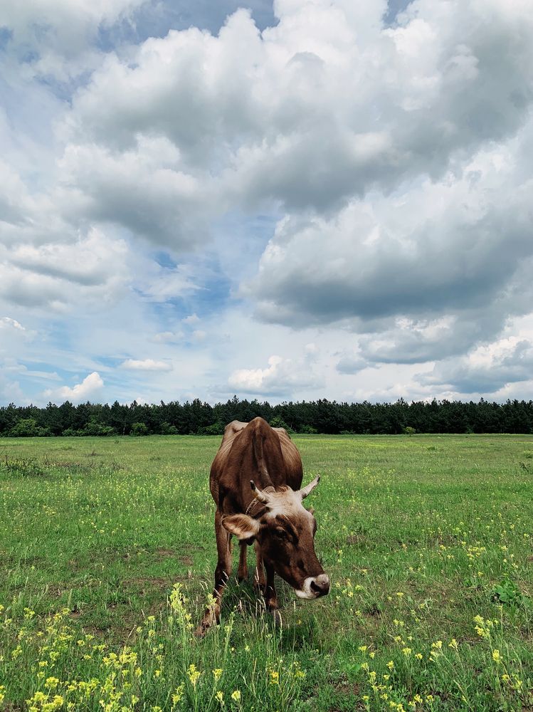 Photograph by Павел Тищенко