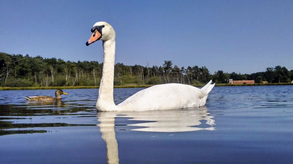 Фотография автора Valentin Claes