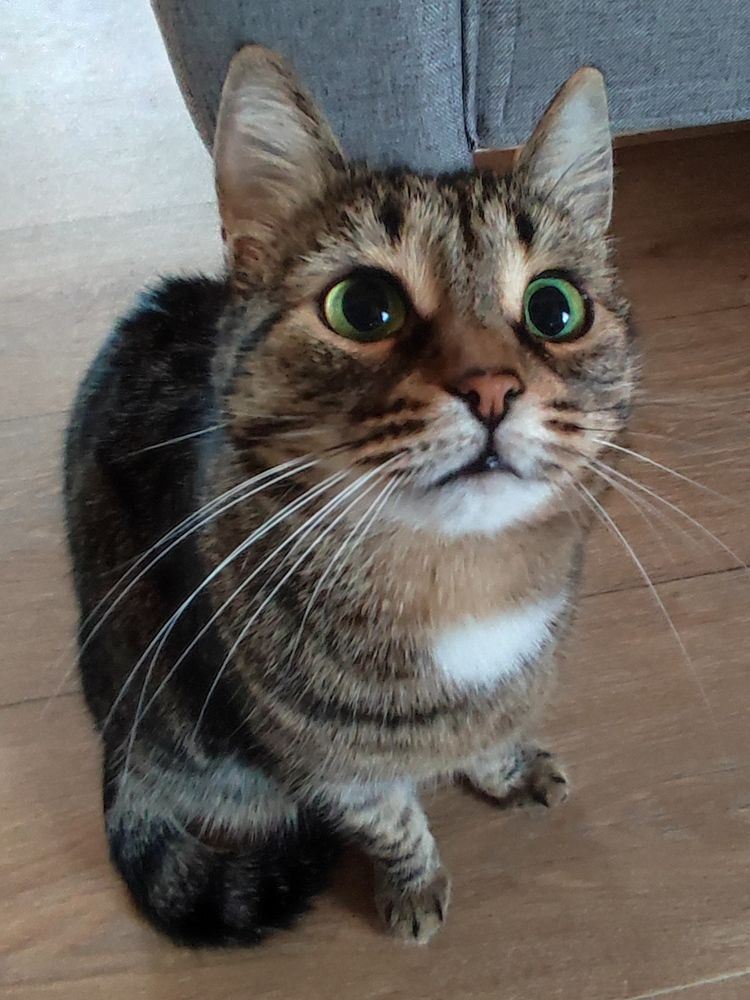 Photograph by Надежда