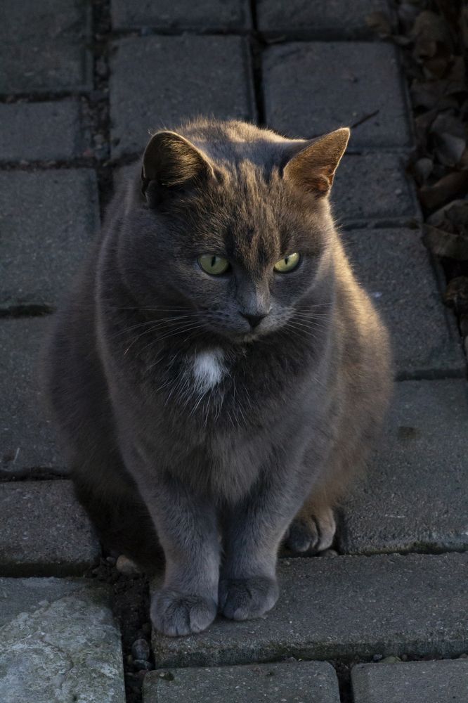 Photograph by Ольга Крючкова