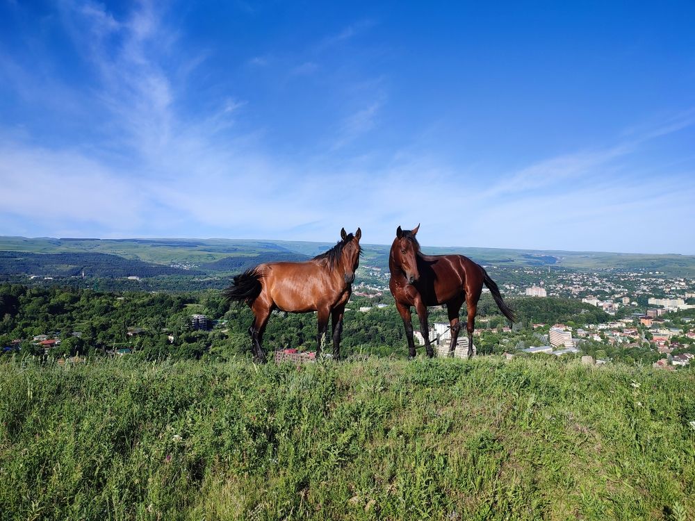 Photograph by Николай Ковальчук