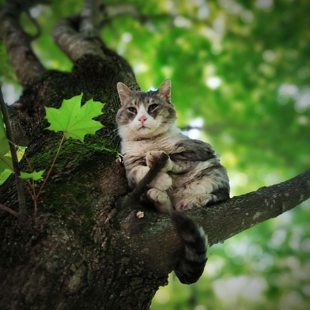 Photograph by Николай Ковальчук