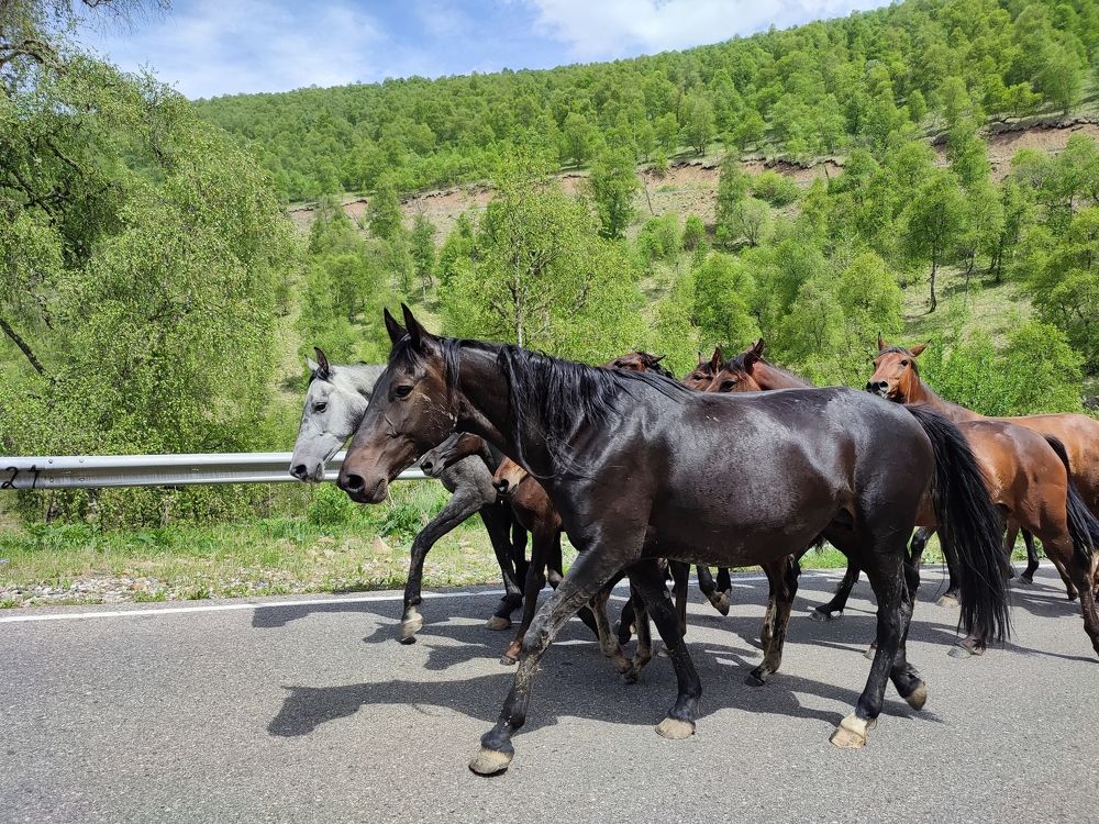 Photograph by Николай Ковальчук
