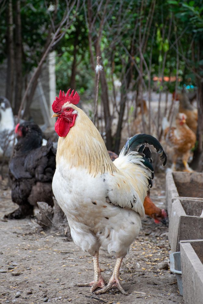 Photograph by Кристина Родина