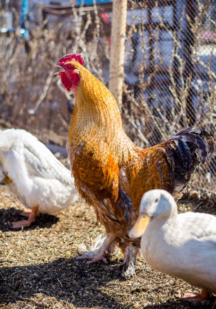 Photograph by Нефедова Ангелина