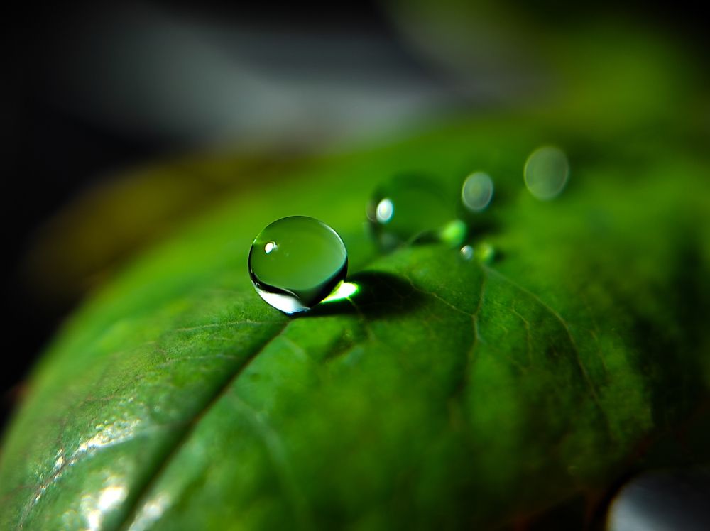 Photograph by Parag vatsa