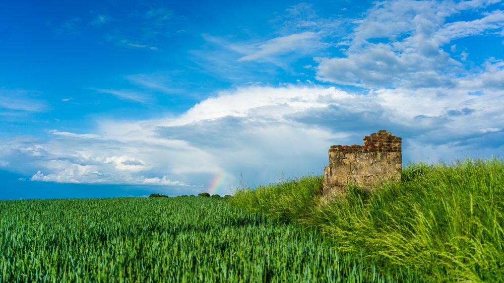 small rainbow in the field