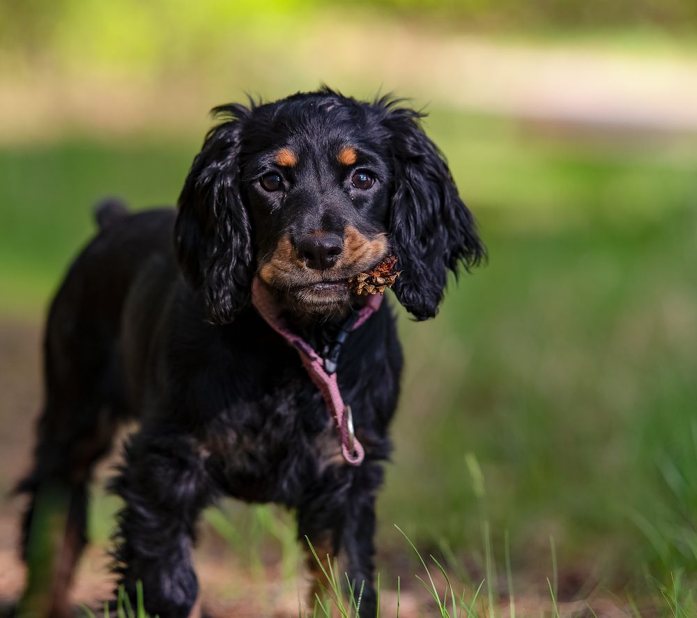 Photograph by Denis Zakalyapin