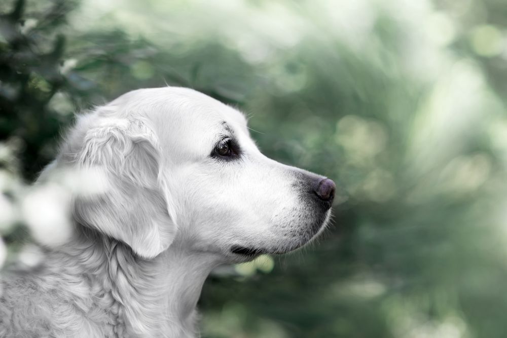 Photograph by Анна Белинская