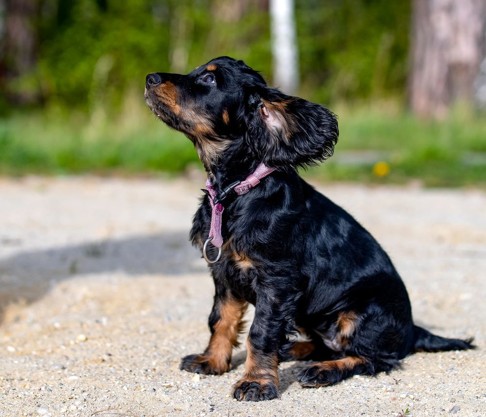 Photograph by Denis Zakalyapin