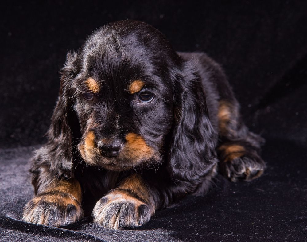 Как молоды мы были