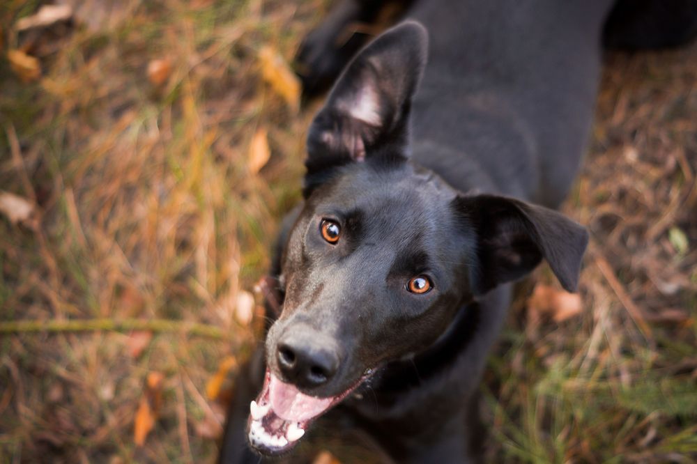 Photograph by Екатерина Булгакова