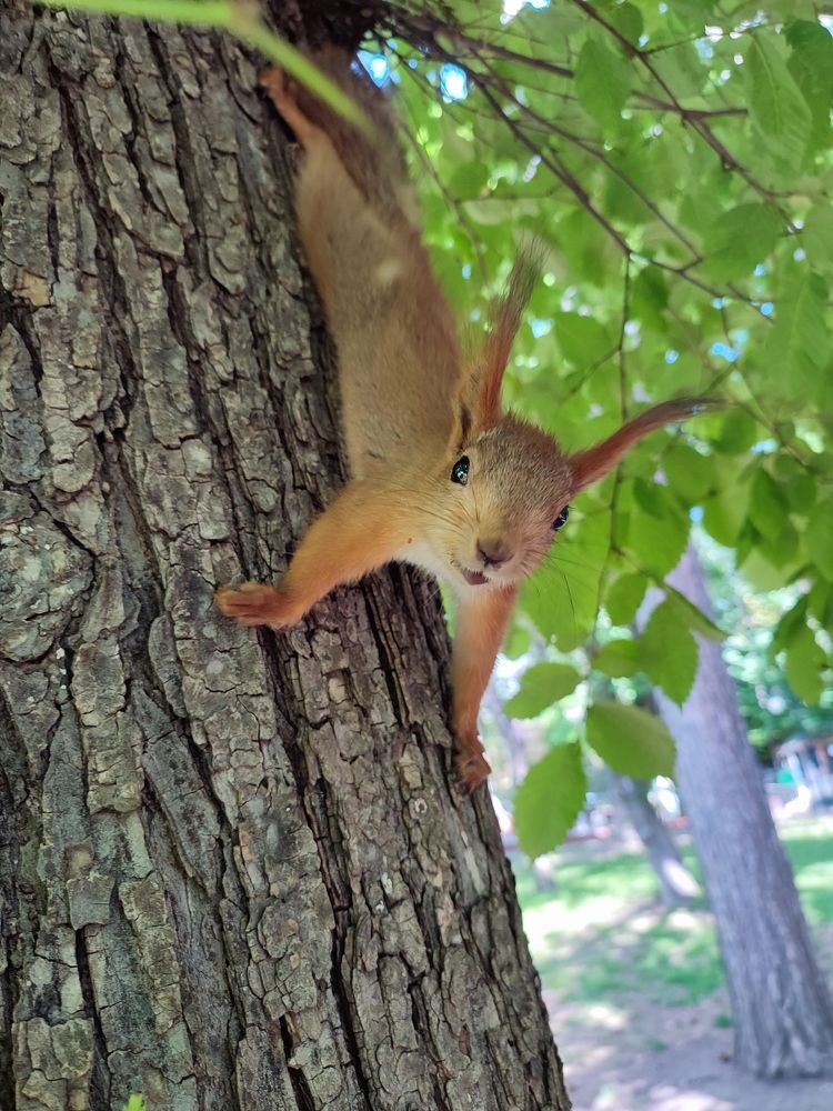 Photograph by Николай Ковальчук