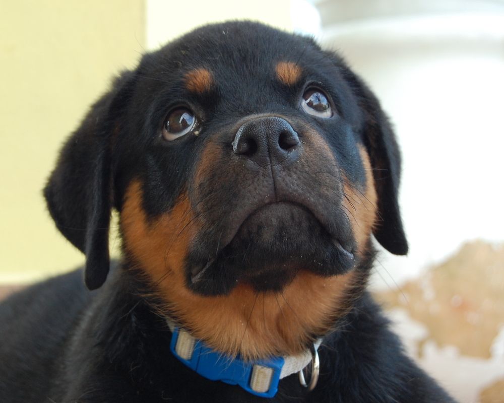 Photograph by Mario Mura