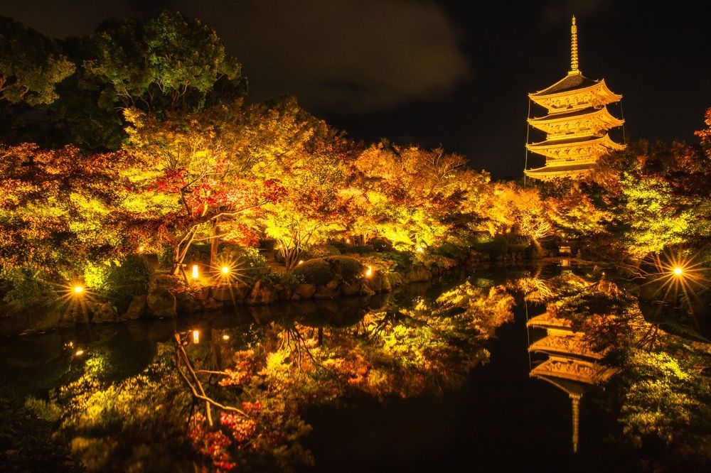 Photograph by quanh lê