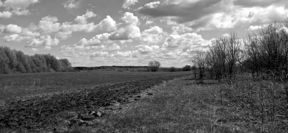 Photograph by Глеб Кузьминых