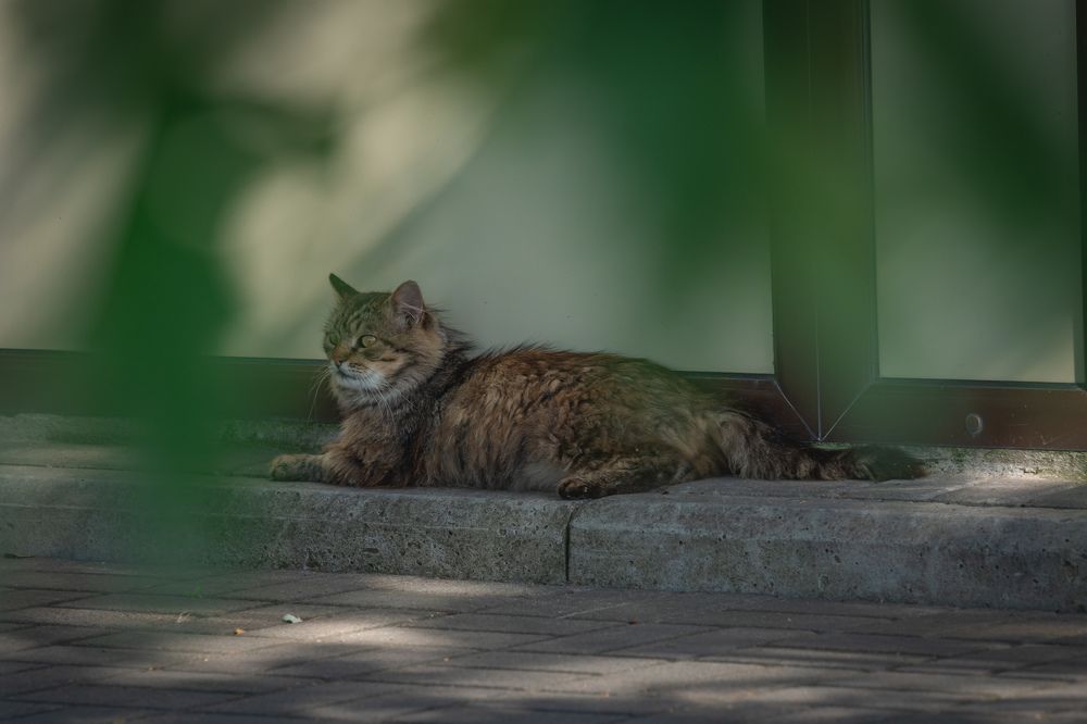 Photograph by ヴィクトル デミヤネンコ