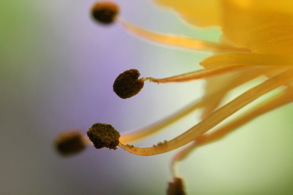 Photograph by Bojana Jevtic