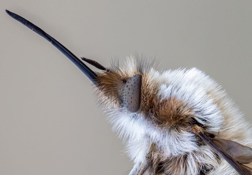 Photograph by Глеб Коровко