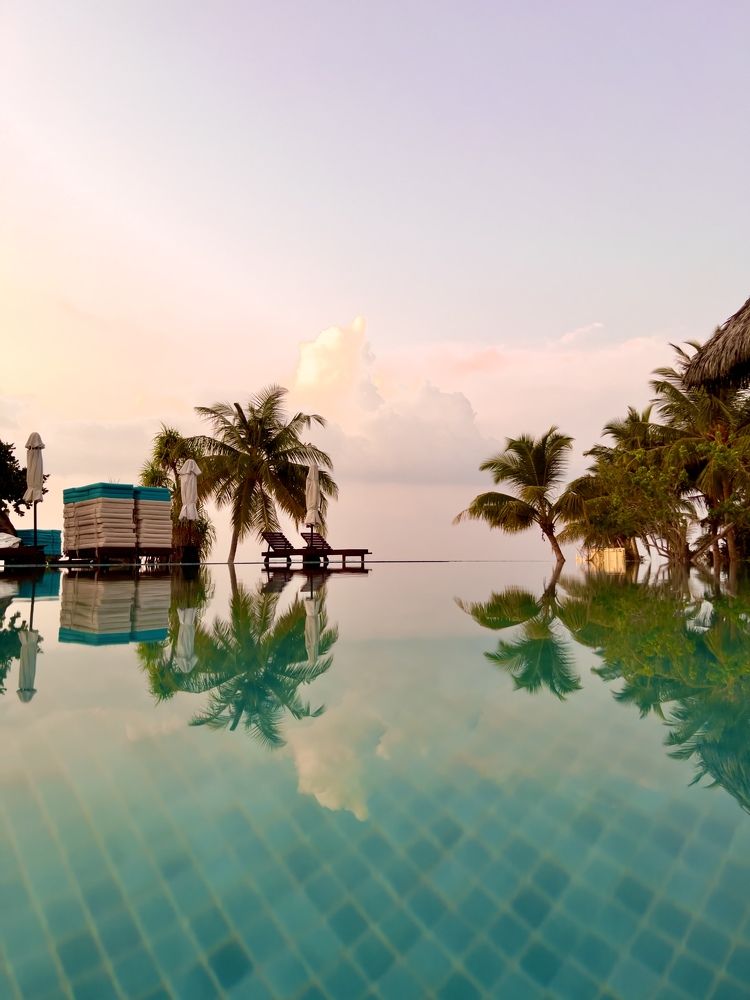 Photograph by Фархад Садыкахунов