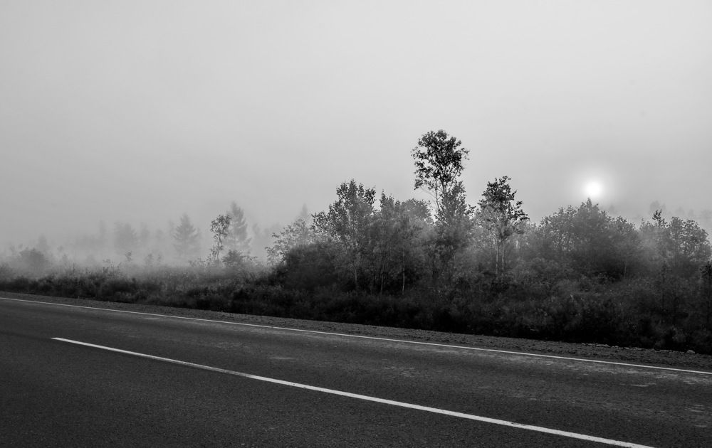 Photograph by Евгения Полянова