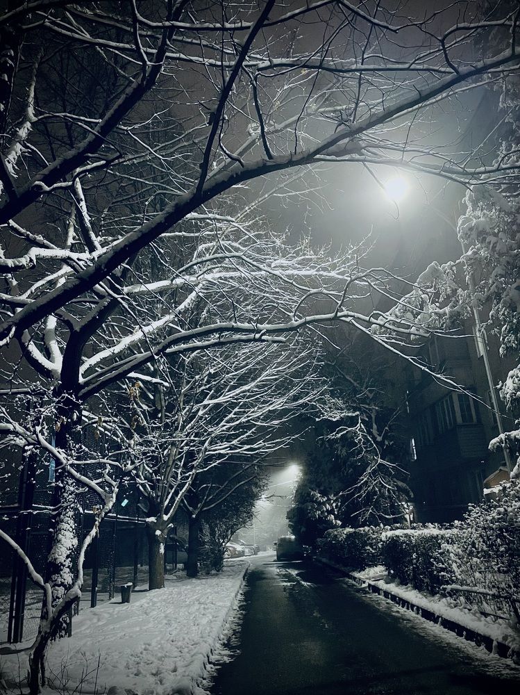 Photograph by Алексей Плахотин