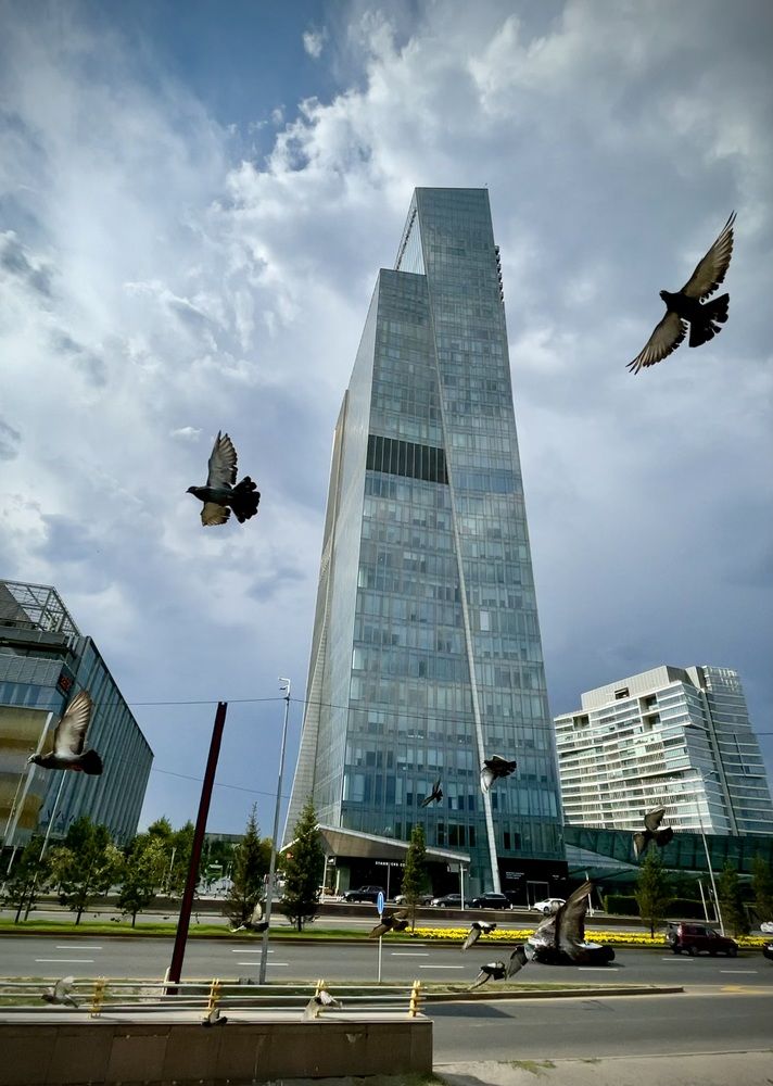 Photograph by Алексей Плахотин