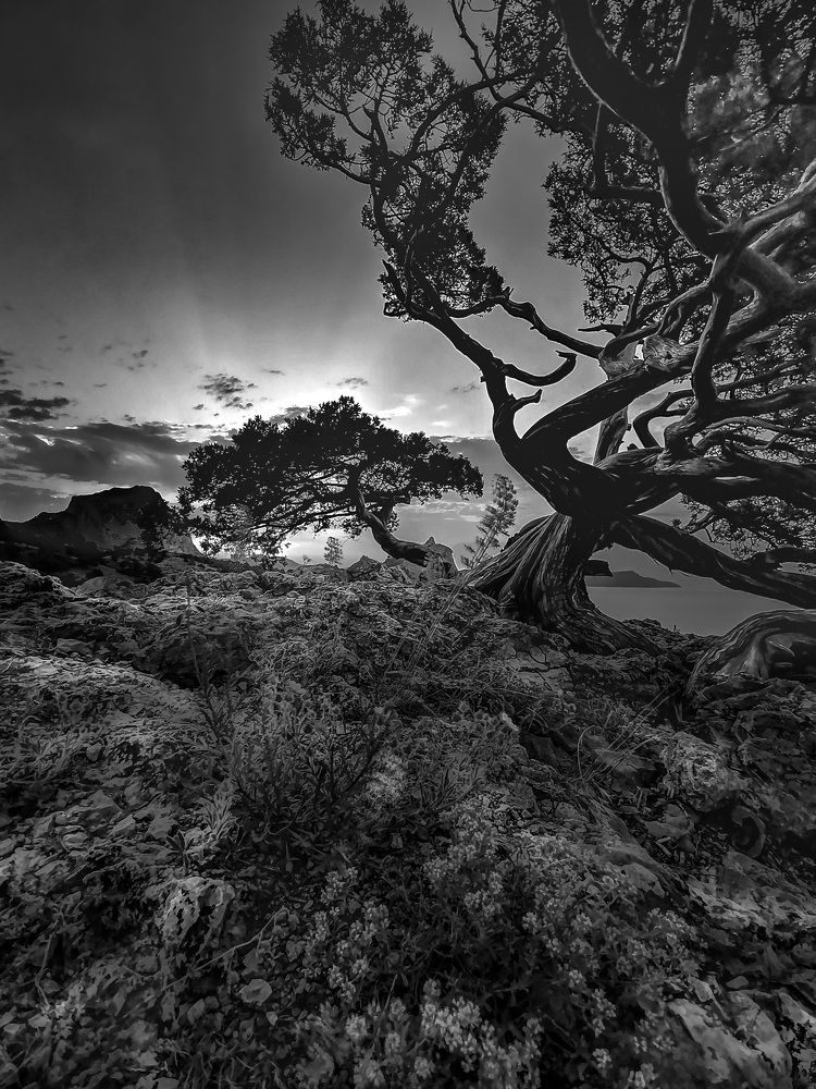 Photograph by Разумов Александр