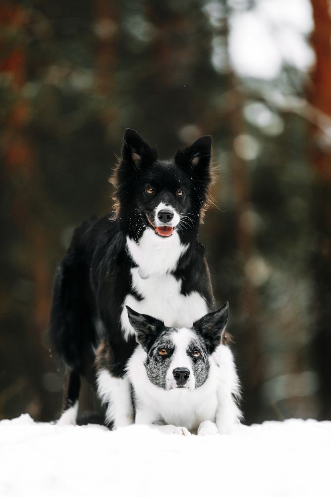 Photograph by Виктория Колоскова