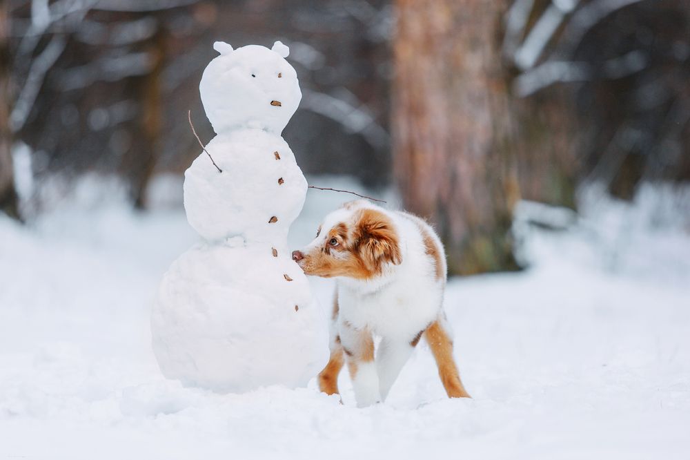 Photograph by Виктория Колоскова