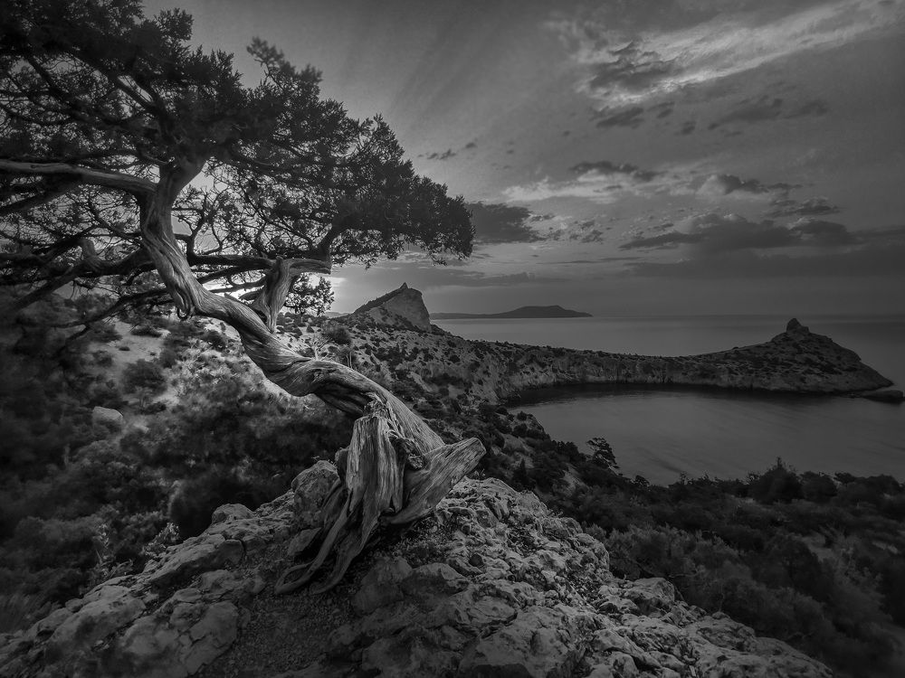 Линии природы