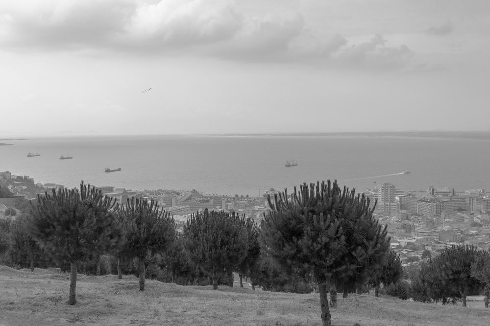 Photograph by Алексей Худяков