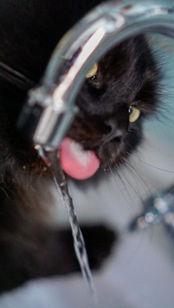 Photograph by Елена Пасажицкая