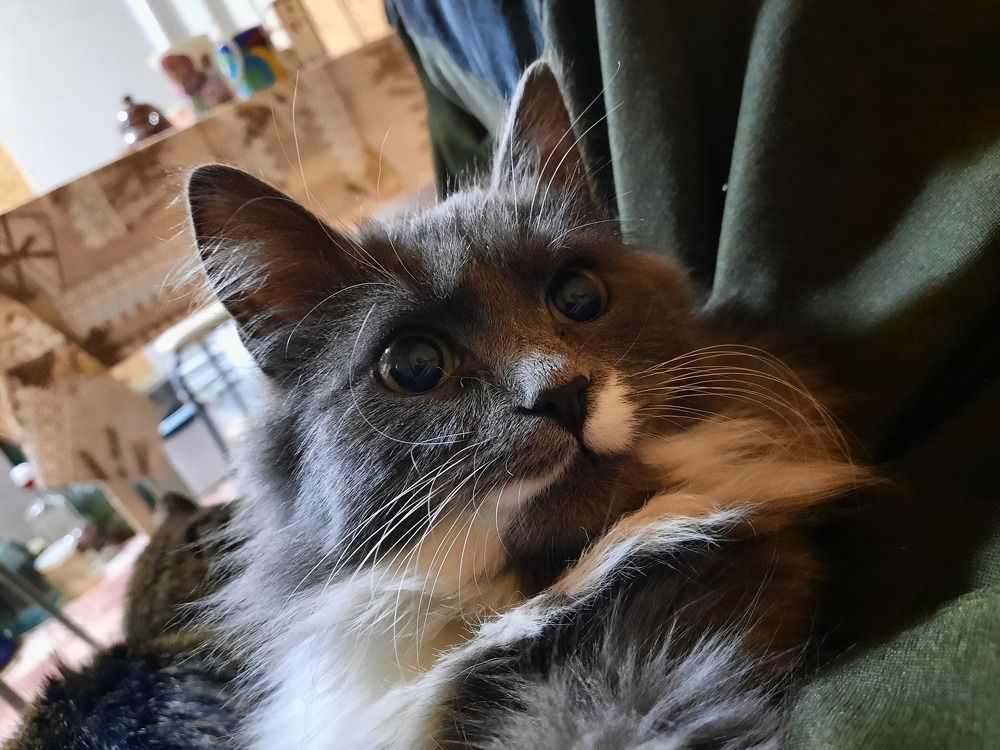 Photograph by Александр Новокрещенов