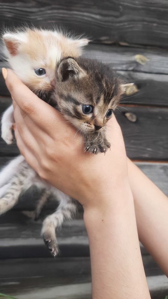 Photograph by Карина Праведникова