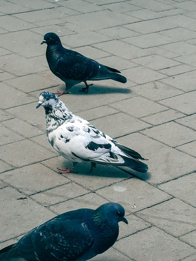 Photograph by Александр Новокрещенов