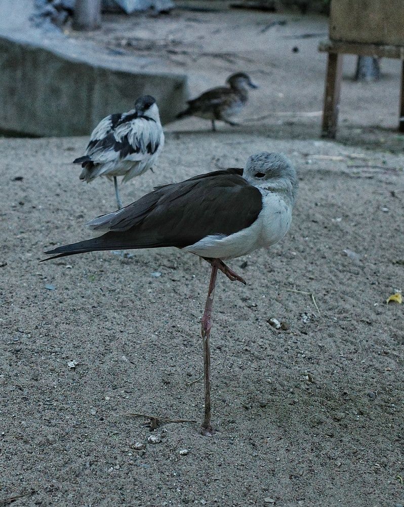 Photograph by Наталья Сафронова