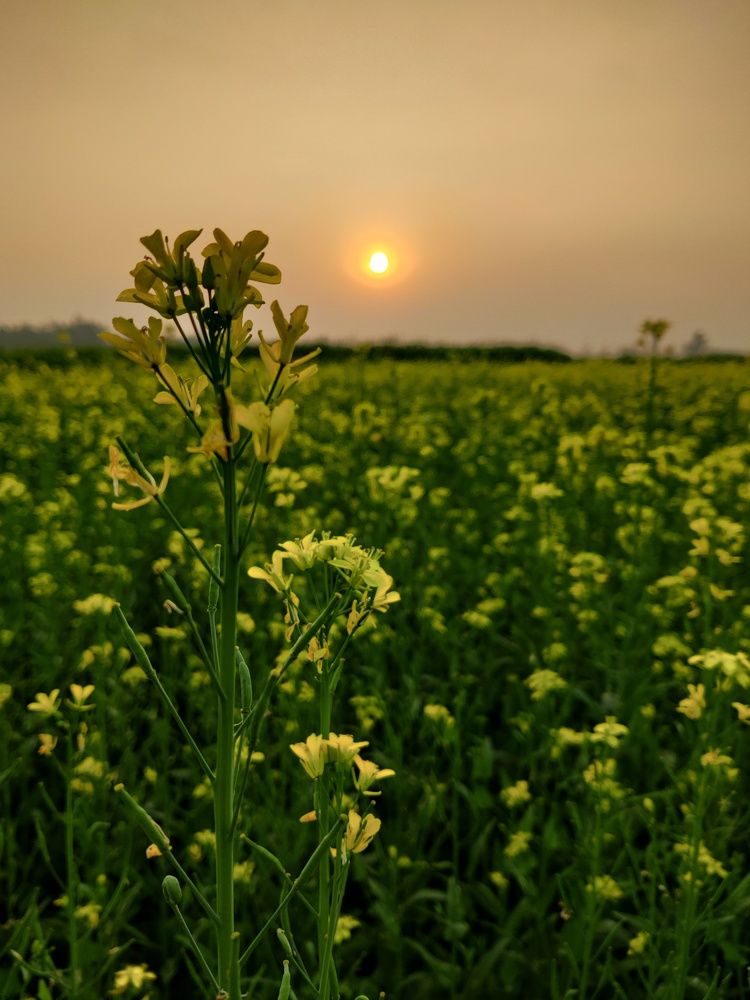 Photograph by Tasnim Rima