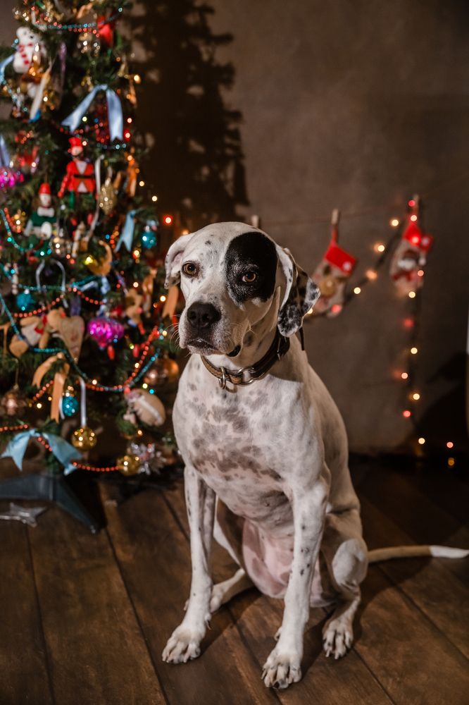 Photograph by Ирина Эрон